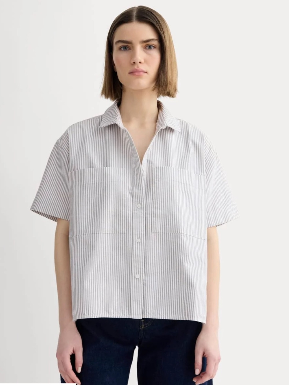 Everlane the Short-Sleeved Boxy Oxford- Small